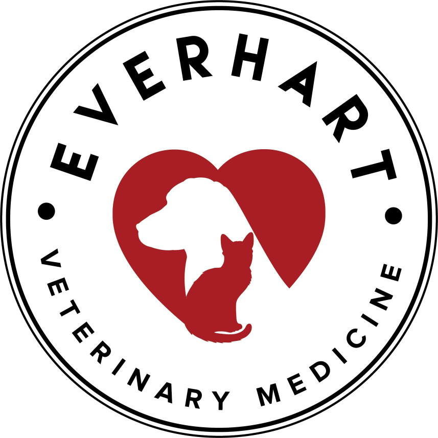 Image of Everhart Veterinary Medicine service in Baltimore, Maryland, United States
