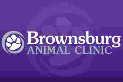 Image of Brownsburg Animal Clinic service in Brownsburg, Indiana, United States