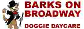 Image of Barks On Broadway Doggie Daycare service in Englewood, Colorado, United States