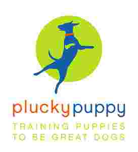Image of Plucky Puppy service in Portland, Connecticut, United States