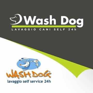Image of Toelettatura Wash Dog Milano Porta Vittoria service in Milano, Lombardia, Italy