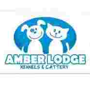 Image of Amber Lodge Kennels & Cattery service in Crevillente, Comunidad Valenciana, Spain
