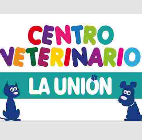 Image of Centro Veterinario La Unión service in Castelló de la Plana, Valencian Community, Spain