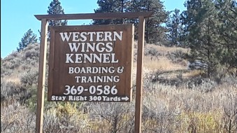 Image of Western Wings Working Rtrvrs service in Stevensville, Montana, United States