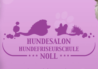 Image of Hundesalon Noll & Hundefriseurschule Noll service in Duisburg, Nordrhein-Westfalen, Germany