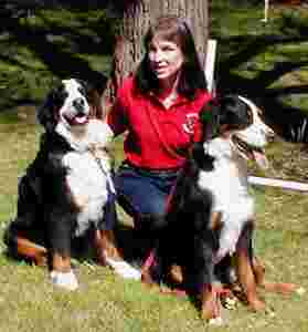 Image of Paws-N-Heel Dog Training Center service in East Hampton, New York, United States