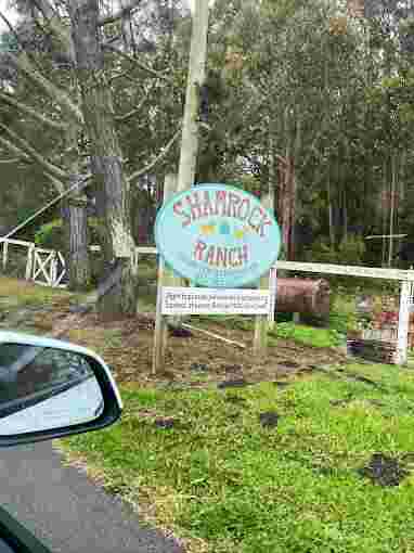 Image of Shamrock Ranch Kennels service in Pacifica, California, United States Image of Shamrock Ranch Kennels service in Pacifica, California, United States