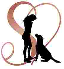 Image of Stephanies Dog Training service in Worcester County, Massachusetts, United States