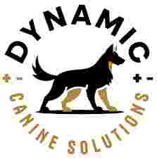 Image of Dynamic Canine Solutions service in Portland, Connecticut, United States