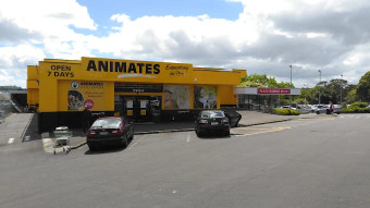 Image of Animates Three Kings service in Auckland, Auckland, New Zealand