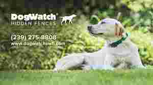 Image of DogWatch of Southwest Florida service in Cape Coral, Florida, United States
