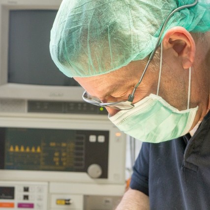 Image of Tierarztpraxis PD Dr. med. vet. Thomas Göbel service in Berlin, Berlin, Germany