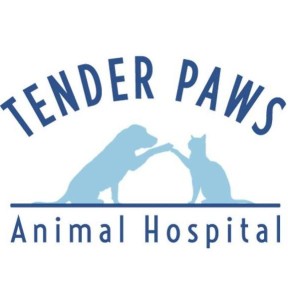 Image of Tender Paws Animal Hospital service in Conroe, Texas, United States