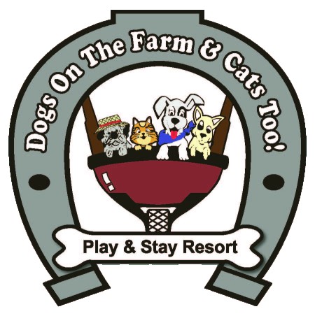 Image of Dogs on the Farm & Cats Too service in Atlantic Highlands, New Jersey, United States Image of Dogs on the Farm & Cats Too service in Atlantic Highlands, New Jersey, United States