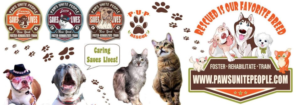 Image of Paws Unite People service in East Patchogue, New York, United States