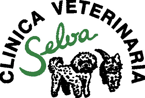 Image of Clínica Veterinaria Selva service in Madrid, Madrid, Spain