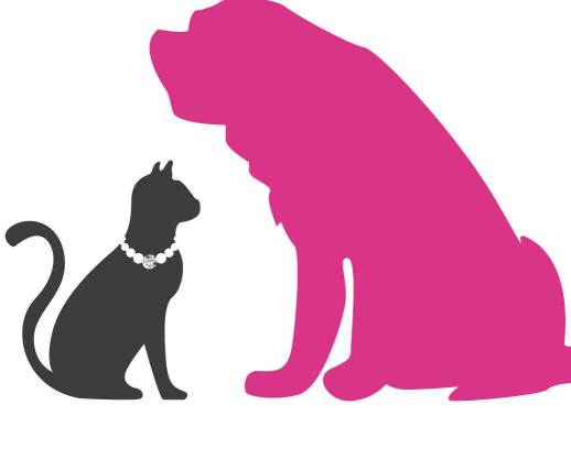 Image of Clínica Veterinaria Patitas Con Diamantes service in Zaragoza, Zaragoza, Spain