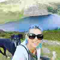 Image of The DogMother service in Dún Laoghaire-Rathdown, Leinster, Ireland