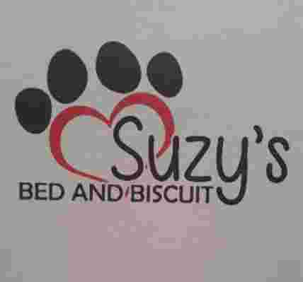 Image of Suzy's Bed and Biscuit service in St. Clair County, Michigan, United States Image of Suzy's Bed and Biscuit service in St. Clair County, Michigan, United States