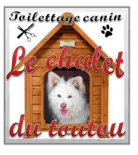 Image of Salon de Toilettage Le Chalet du Toutou service in Marseille, Bouches-du-Rhone, France