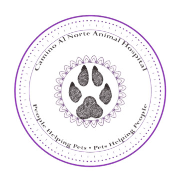 Image of Camino Al Norte Animal Hospital service in North Las Vegas, Nevada, United States