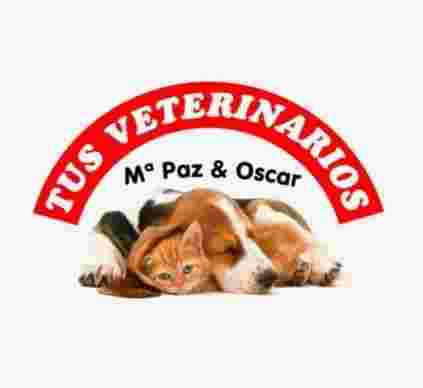 Image of TUS VETERINARIOS MARY PAZ Y OSCAR service in Murcia, Murcia, Spain