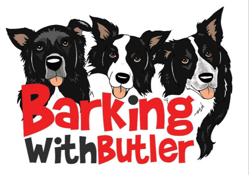 Image of Barking with Butler Dog Training, Aberdeen And Surrounding Areas service in Aberdeen City, Scotland, United Kingdom