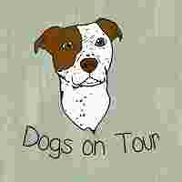 Image of Dogs on Tour - Hundetraining in Gelsenkirchen und Umgebung service in Gelsenkirchen, Nordrhein-Westfalen, Germany