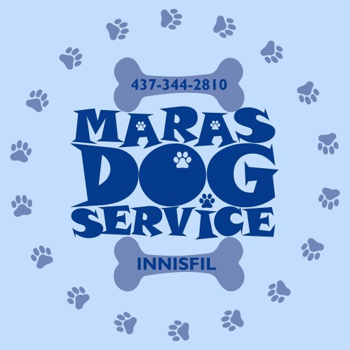 Image of Maras Dog Service service in Innisfil, Ontario, Canada Image of Maras Dog Service service in Innisfil, Ontario, Canada