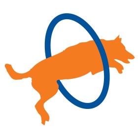 Image of Zoom Room Dog Training- Clive service in Clive, Iowa, United States Image of Zoom Room Dog Training- Clive service in Clive, Iowa, United States