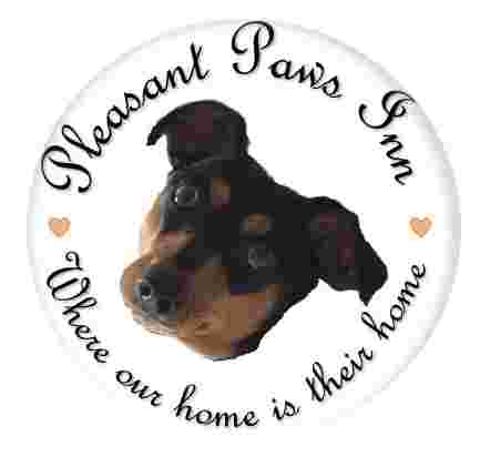 Image of Pleasant Paws Inn service in Pleasantville, Pennsylvania, United States
