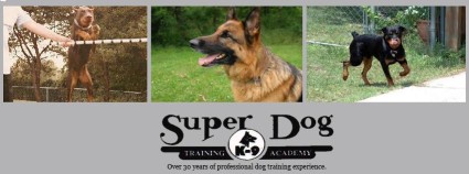 Image of Super Dog Training Academy service in Miami Township, Ohio, United States Image of Super Dog Training Academy service in Miami Township, Ohio, United States