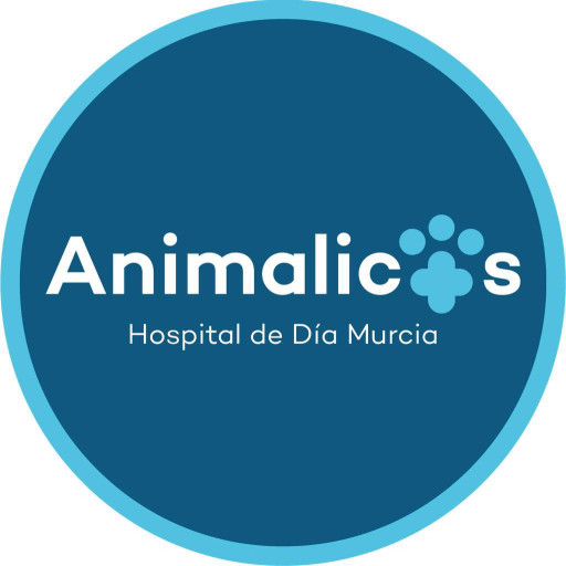 Image of Animalicos Hospital de Día Veterinario service in Cabezo de Torres, Región de Murcia, Spain
