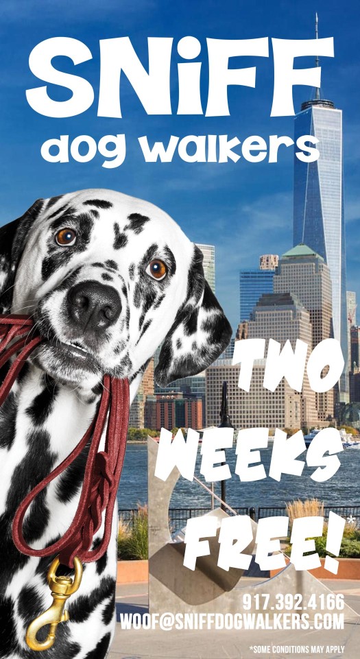 Image of SNIFF Dog Walkers service in Hoboken, New Jersey, United States Image of SNIFF Dog Walkers service in Hoboken, New Jersey, United States