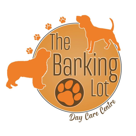 Image of The Barking Lot Dog Day Care service in Stockton-on-Tees, Cleveland, United Kingdom