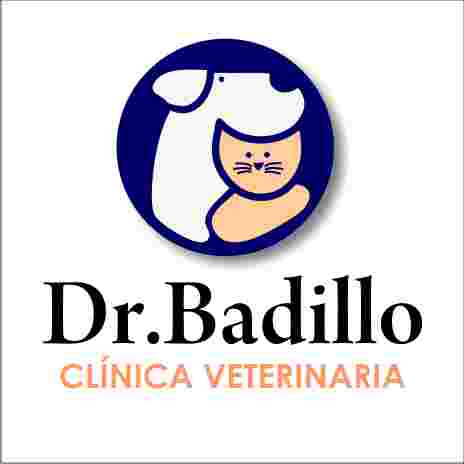 Image of CLINICA DR. BADILLO service in Heroica Puebla de Zaragoza, Puebla, Mexico