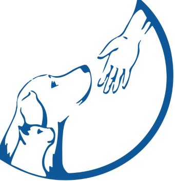 Image of Viamonte Veterinary Clinic service in Miami, Florida, United States