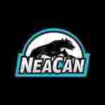 Image of Neacan service in Alicante, Valencian Community, Spain