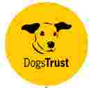 Image of Dog School Newcastle - Jesmond service in Newcastle upon Tyne, England, United Kingdom Image of Dog School Newcastle - Jesmond service in Newcastle upon Tyne, England, United Kingdom