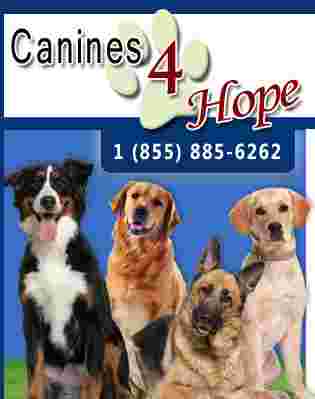 Image of Canines 4 Hope service in Palm City, Florida, United States