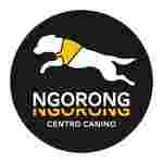 Image of Ngorong-Ngorong Centro Canino service in Elche, Valencia, Spain