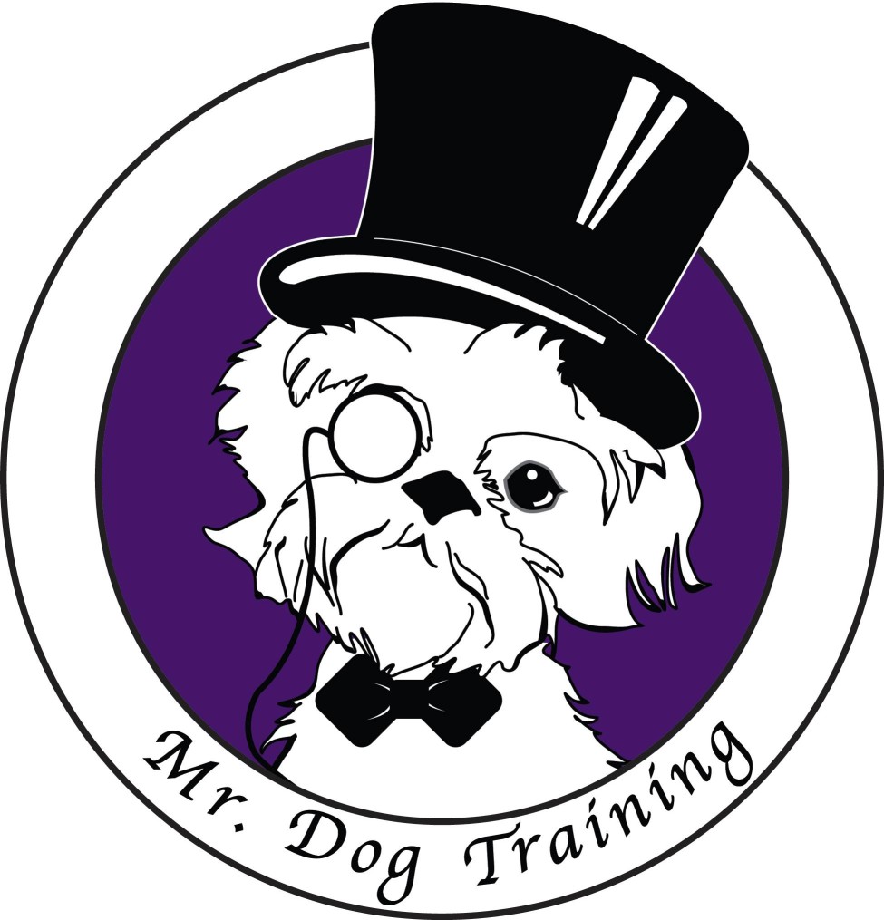 Image of Mr. Dog Training service in Brunswick, Georgia, United States