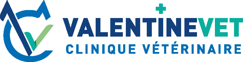 Image of Clinique Vétérinaire ValentineVet service in Marseille, Bouches-du-Rhone, France