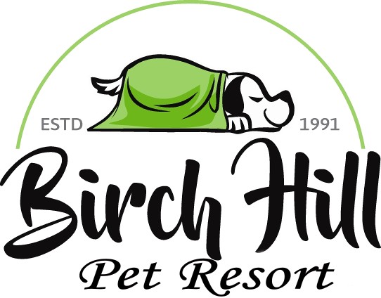 Image of Birch Hill Pet Resort service in Merrimack County, New Hampshire, United States