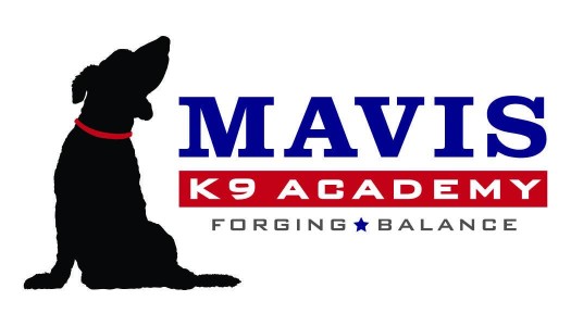Image of Mavis K9 Academy service in Guilford, Connecticut, United States Image of Mavis K9 Academy service in Guilford, Connecticut, United States