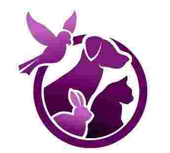 Image of Clínica Veterinaria Los Molinos service in Getafe, Madrid, Spain