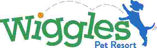 Image of Wiggles Pet Resort service in Mahopac, New York, United States