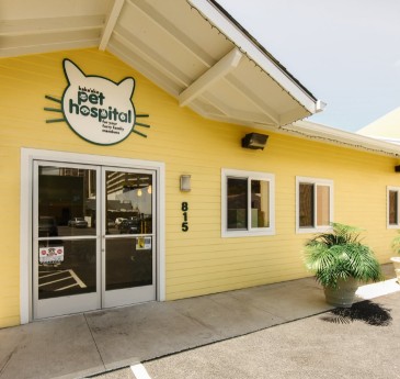 Image of Kakaako Pet Hospital service in Honolulu, Hawaii, United States Image of Kakaako Pet Hospital service in Honolulu, Hawaii, United States