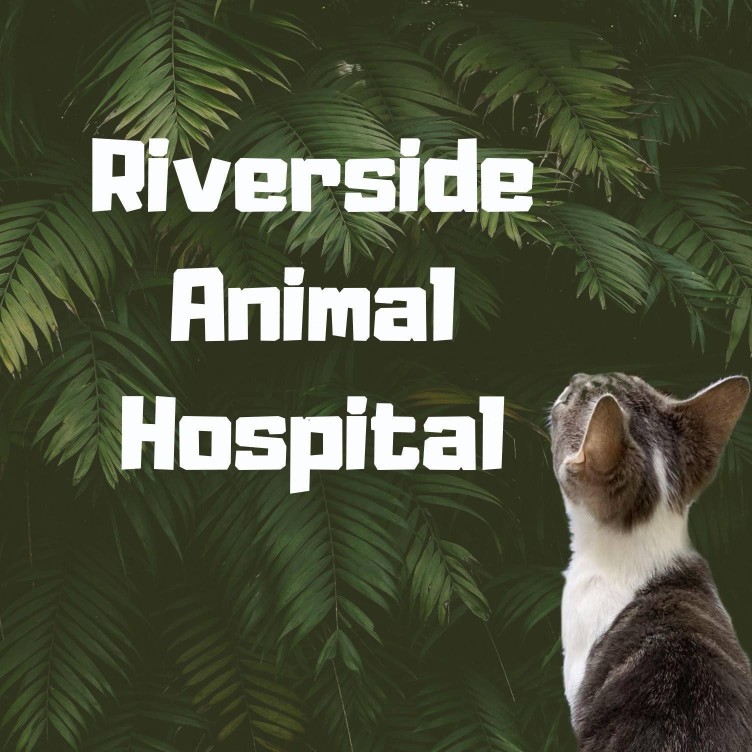 Image of Riverside Animal Hospital service in Jacksonville, Alabama, United States Image of Riverside Animal Hospital service in Jacksonville, Alabama, United States