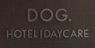 Image of Dog. Hotel | Daycare service in Chicago, Illinois, United States Image of Dog. Hotel | Daycare service in Chicago, Illinois, United States